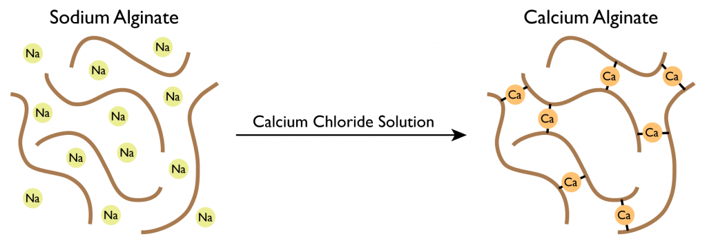 Principle of preparation of calcium alginate beads